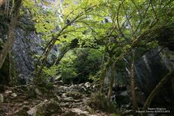 Dupnisa Mağarası (Kırklareli) (8).JPG